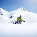 In Fuerth Near Zell Am Slopes *