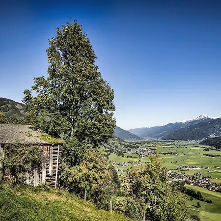 Chalet In Fuerth Near Zell Am Slopes *