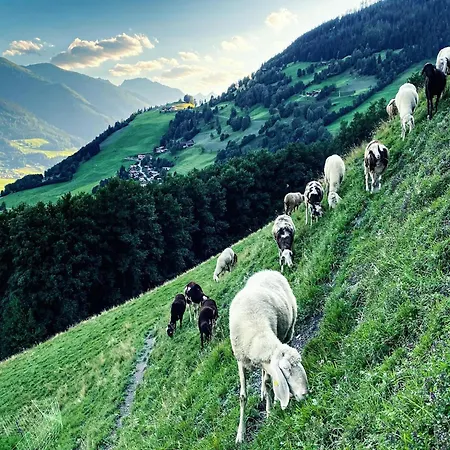 In Fuerth Near Zell Am Slopes Chalet