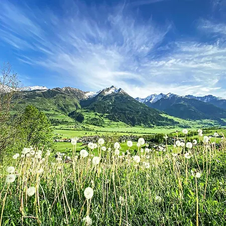 In Fuerth Near Zell Am Slopes Chalet *
