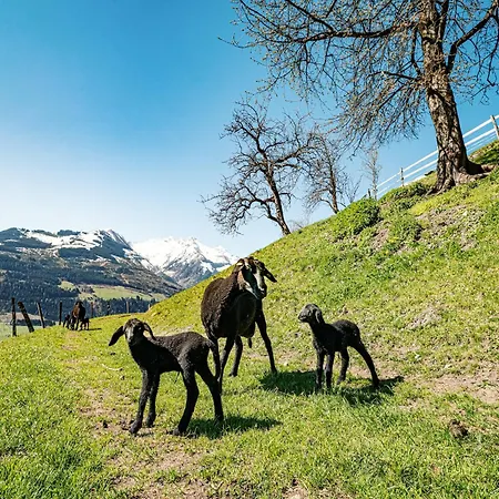 In Fuerth Near Zell Am Slopes Piesendorf