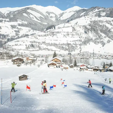 In Fuerth Near Zell Am Slopes *