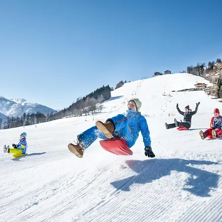In Fuerth Near Zell Am Slopes Chalet *