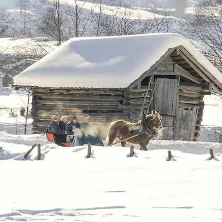 In Fuerth Near Zell Am Slopes Chalet Piesendorf