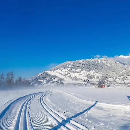 In Fuerth Near Zell Am Slopes Piesendorf