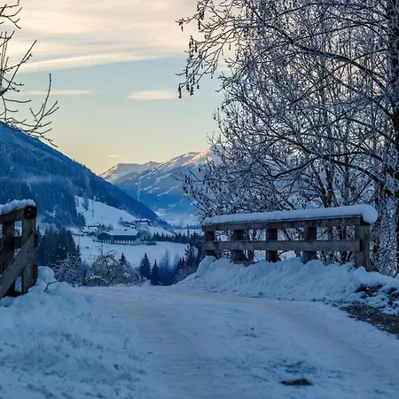 In Fuerth Near Zell Am Slopes Chalet