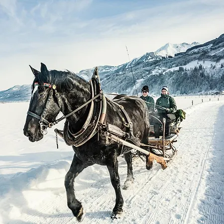 In Fuerth Near Zell Am Slopes Chalet *